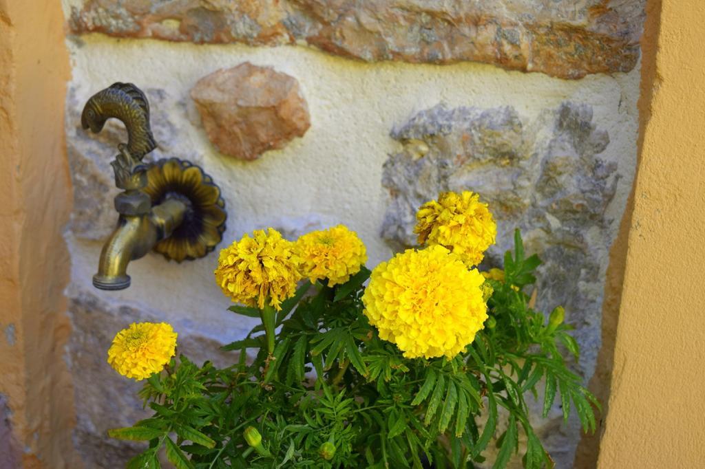 Tilemachos Traditional House バティ エクステリア 写真